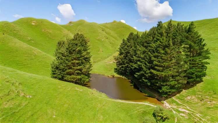 Mangaraupiu Road Eketahuna_4