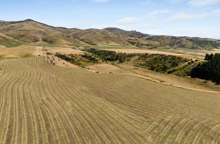 501 Waikerikeri Valley Road_4