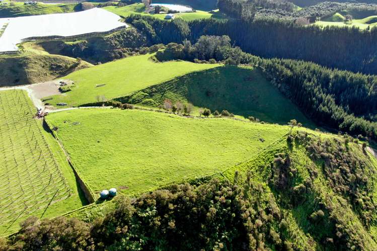 Maniatutu Road Pongakawa_11