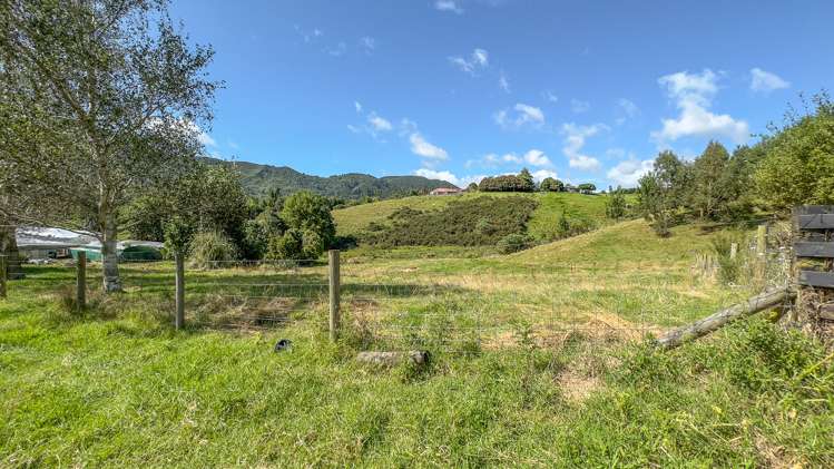 44 Packtrack Road Thames_28