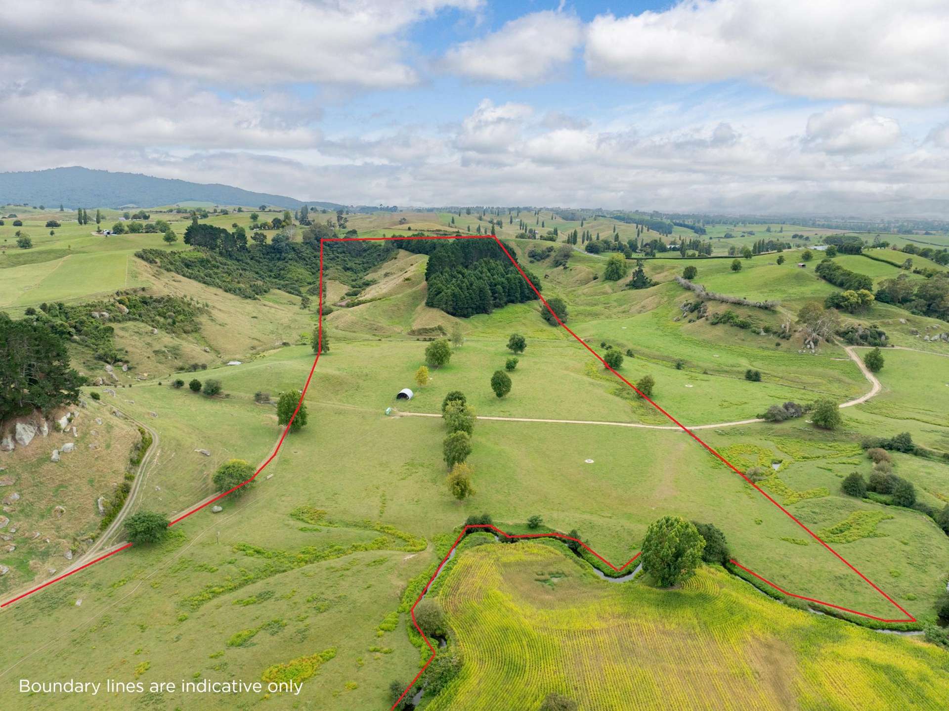 Taotaoroa Road Matamata_0