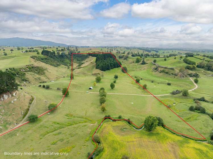 Taotaoroa Road Matamata_0