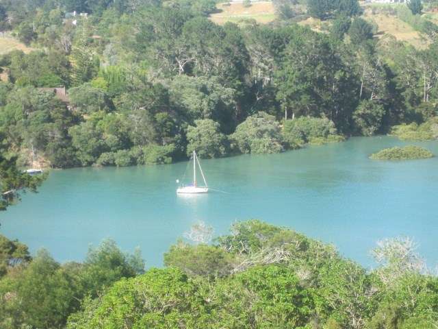 64 Blue Heron Rise Stanmore Bay_1