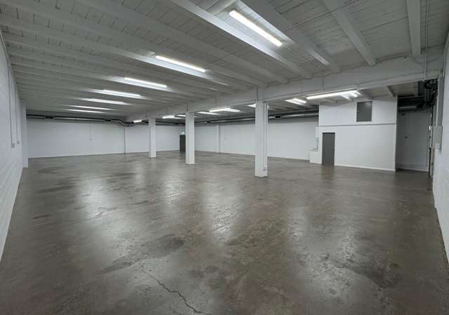 28a Norwich Street Eden Terrace_3