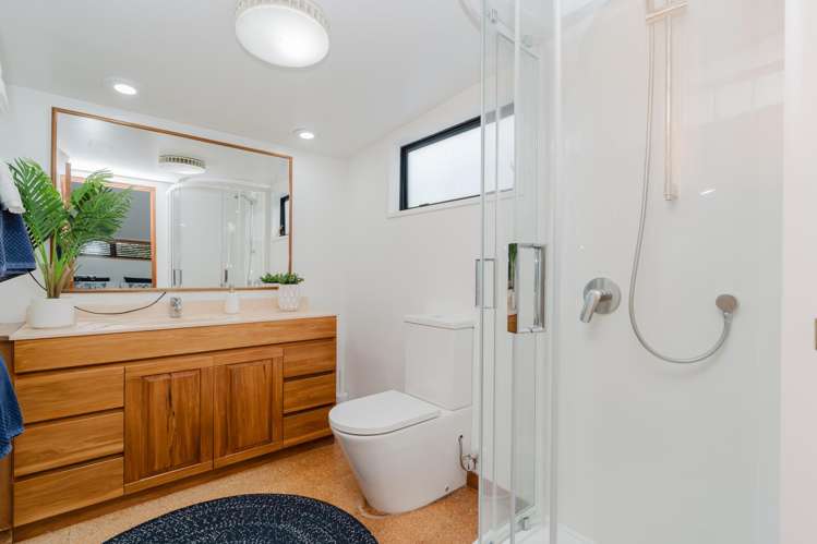 54 Malcolm Street Riverlea_14