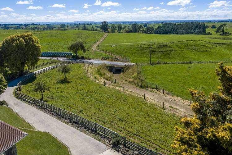 1888 Old Taupo Road Wiltsdown_8