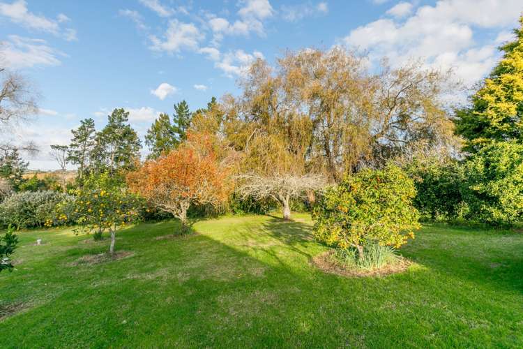 99 Postman Road Dairy Flat_29