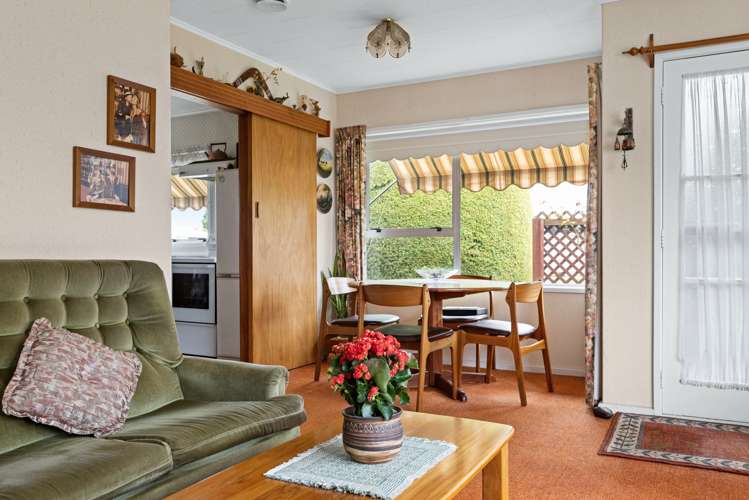 48 Salisbury Avenue Tamatea_9