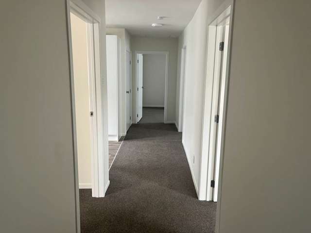 179 Park Road Grafton_4