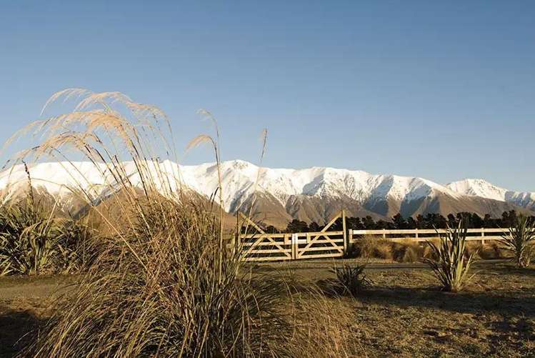 620 Coleridge Road Windwhistle_8