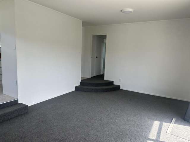 33 Stafford Street Waitara_4