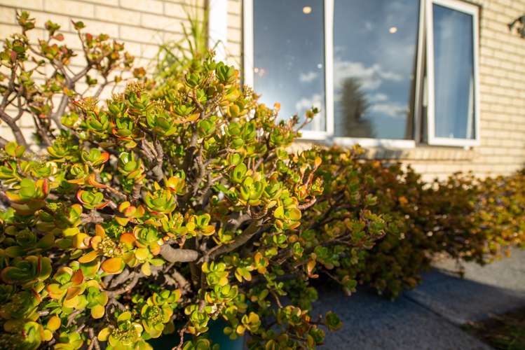 125 Basley Road Owhata_20