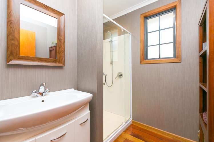 3 Burgess Hill Road Burgess Park_13