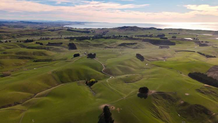 137 McLeods Road Palmerston_23