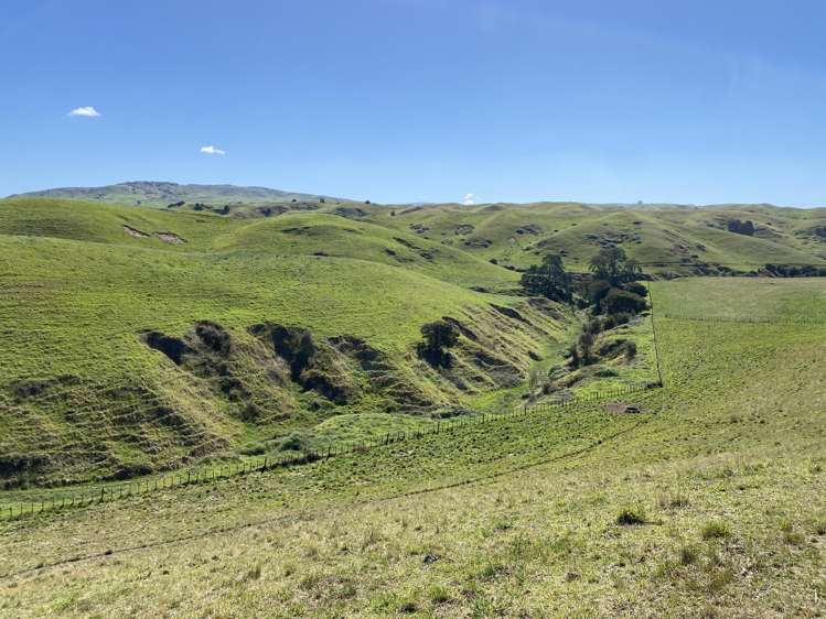 Lot 2, DP 566738, Kawera Road Hastings_9