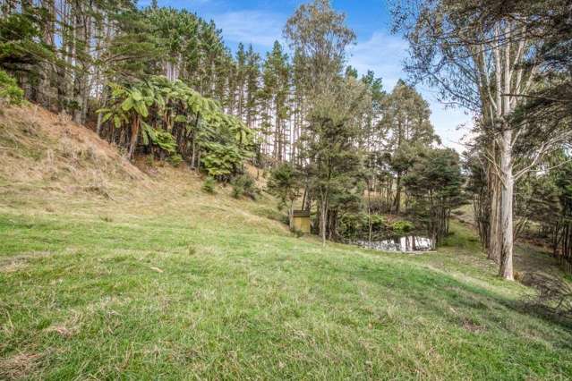 79 McGregor Rd Clevedon_2