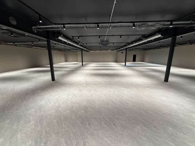 22 Munroe Street Napier South_3