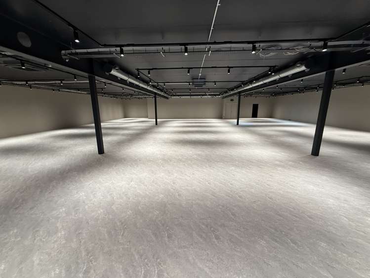 22 Munroe Street Napier South_5