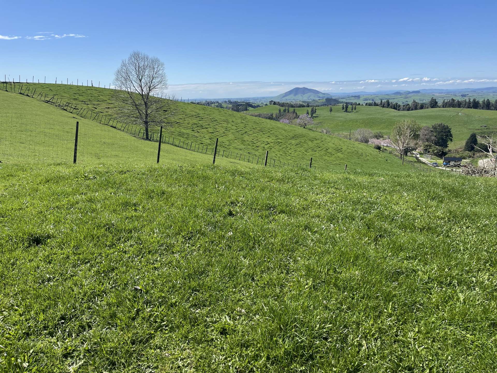 481 Honikiwi Road RD3 Otorohanga_0