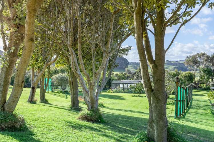 461 Notorious West Road Dargaville Rd1_46