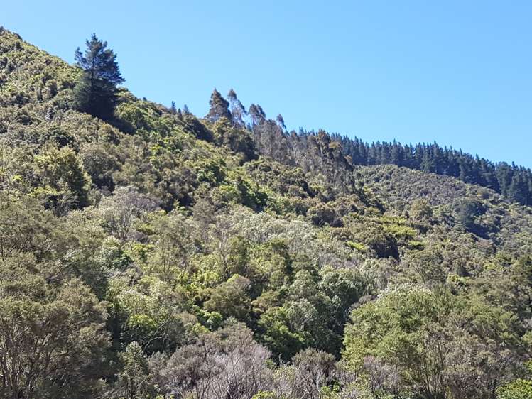 946 Mangatarere Valley Road Carterton_7