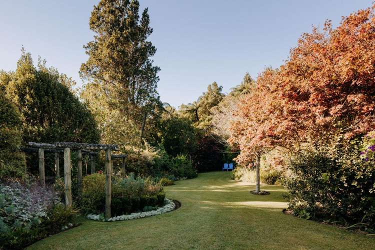 449B Lund Road Aongatete_28