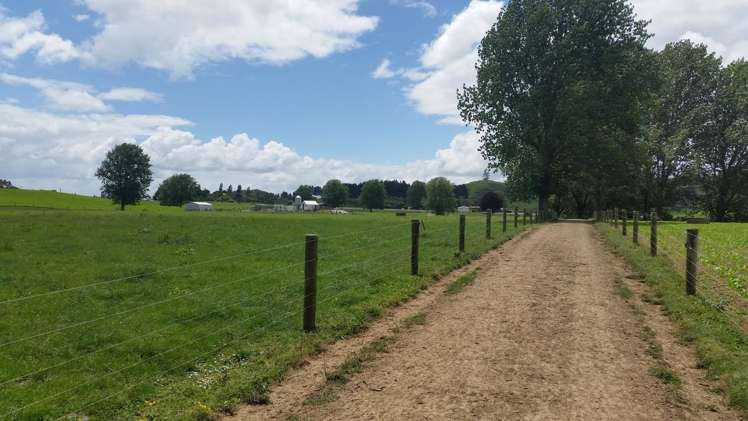 851 Hutchinson Road Morrinsville_0