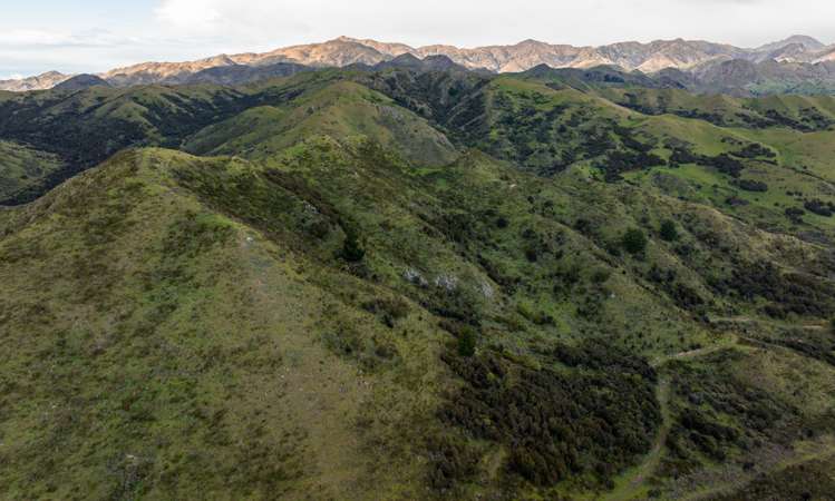 220 Ballochdale Road Seddon_0