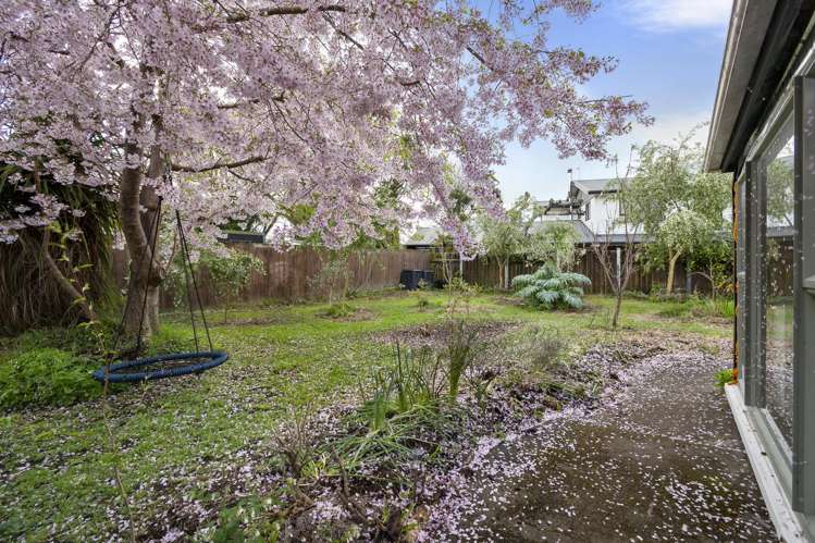 56 Wyndham Street Ashhurst_17