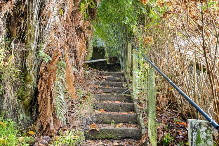 158 Rata Street Inglewood_22