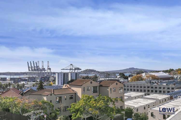 9 Churton Street Parnell_16