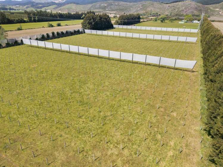 390 Macdonald Road Te Teko_19