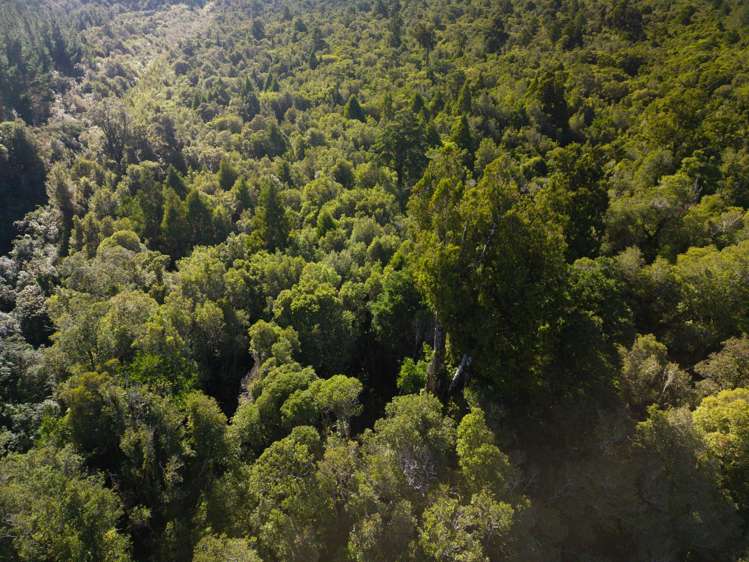 Bell Hill Road Inchbonnie_13