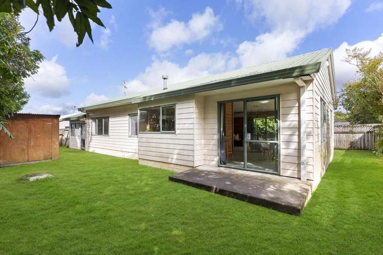 86a Avondale Road Avondale_9