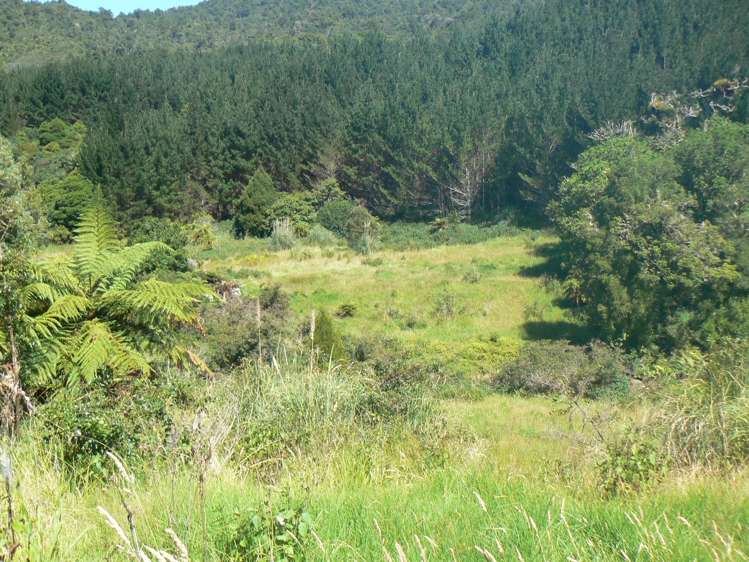 Takahue Saddle Rd Broadwood_3