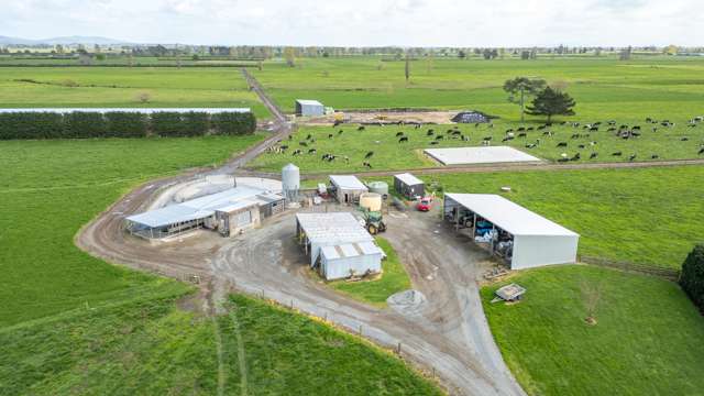 211 Maiseys Road Waharoa_1