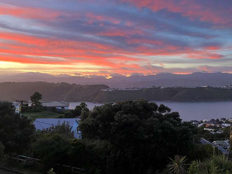 64 Roseneath Terrace Roseneath_16