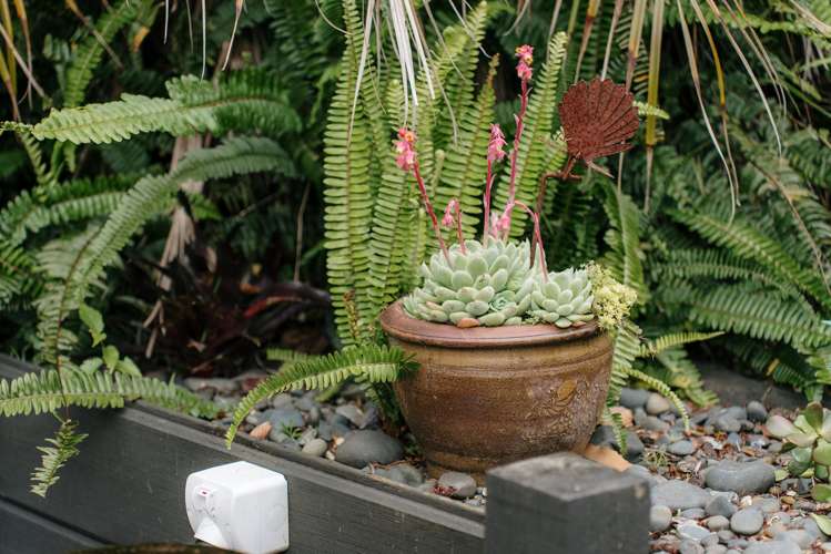 17a Callis Avenue Opaheke_33