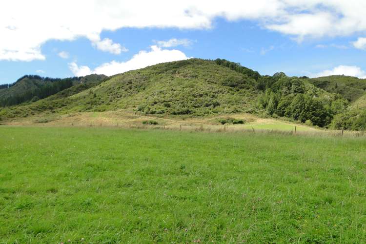 845 Shenandoah Highway Murchison_13