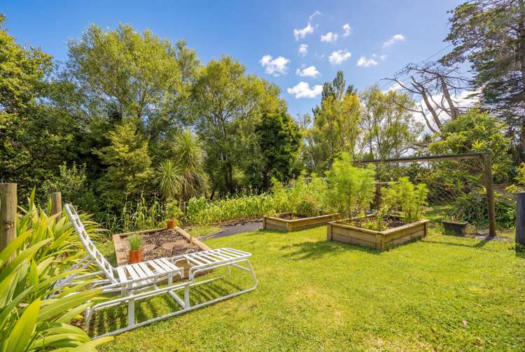 605 Whakapirau Road Whakapirau_14