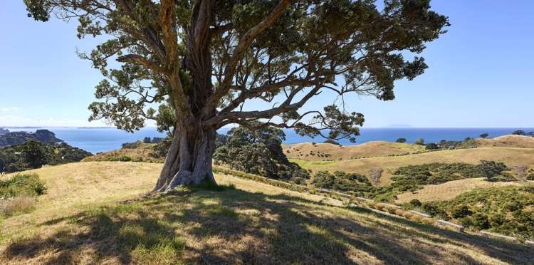 6 Tamihana Road Waiheke Island_15