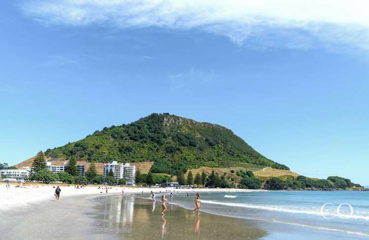 32/281 Maunganui Road Mount Maunganui_19