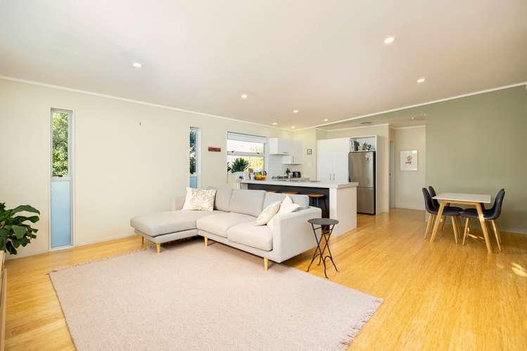 6a Counsel Terrace Mount Albert_11