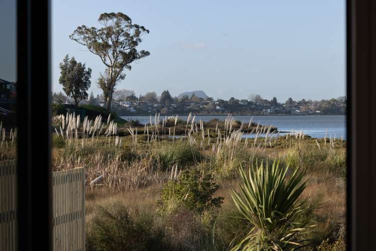 31 Hinaki Street Poike_27