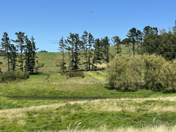 4 Matahehe Lane Tinopai_15