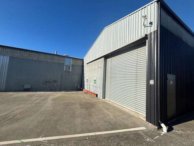 78C Austin Street Onekawa_3