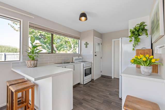 13 Muller Road Blenheim Central_3