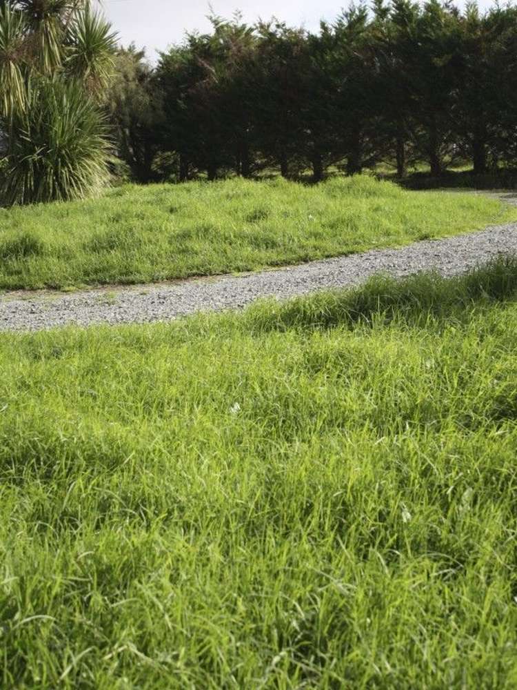 19 Darmah Lane Mangawhai_18