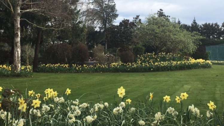 439 Dawsons Road Templeton_5