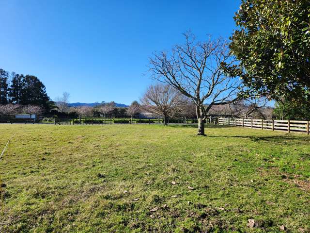 9b Cameron Road Gisborne_3